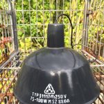 Lampen